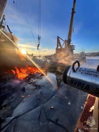 Опубликованы фото с места мощного пожара в затоне у Борского моста - фото 2