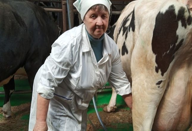 Лучшие нижегородские доярки с одной коровы получают за год свыше 13 тысяч килограмм молока - фото 2