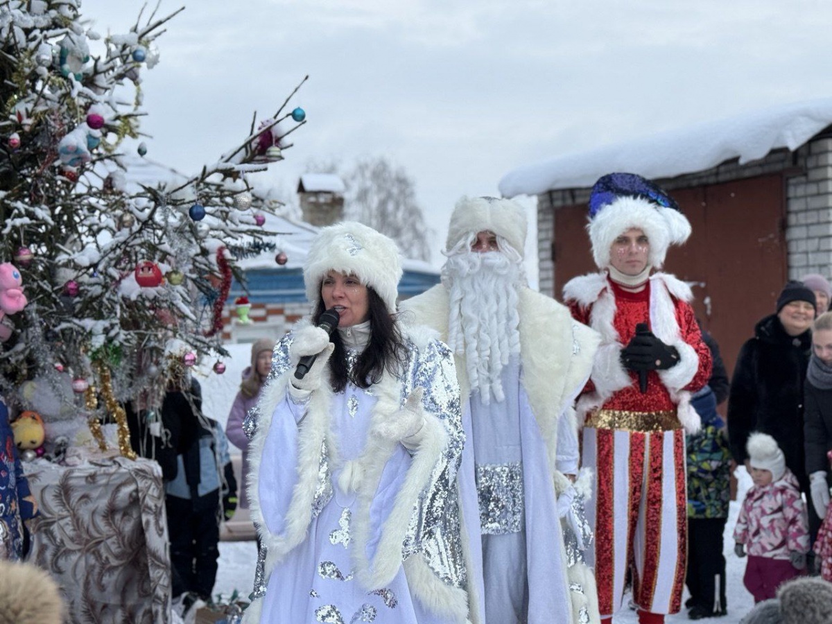 Депутат Татьяна Гриневич рассказала, как провела новогодние праздники - фото 1
