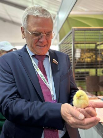 Более 40 нижегородских предприятий приняли участие в выставке &laquo;Золотая осень&raquo; - фото 4