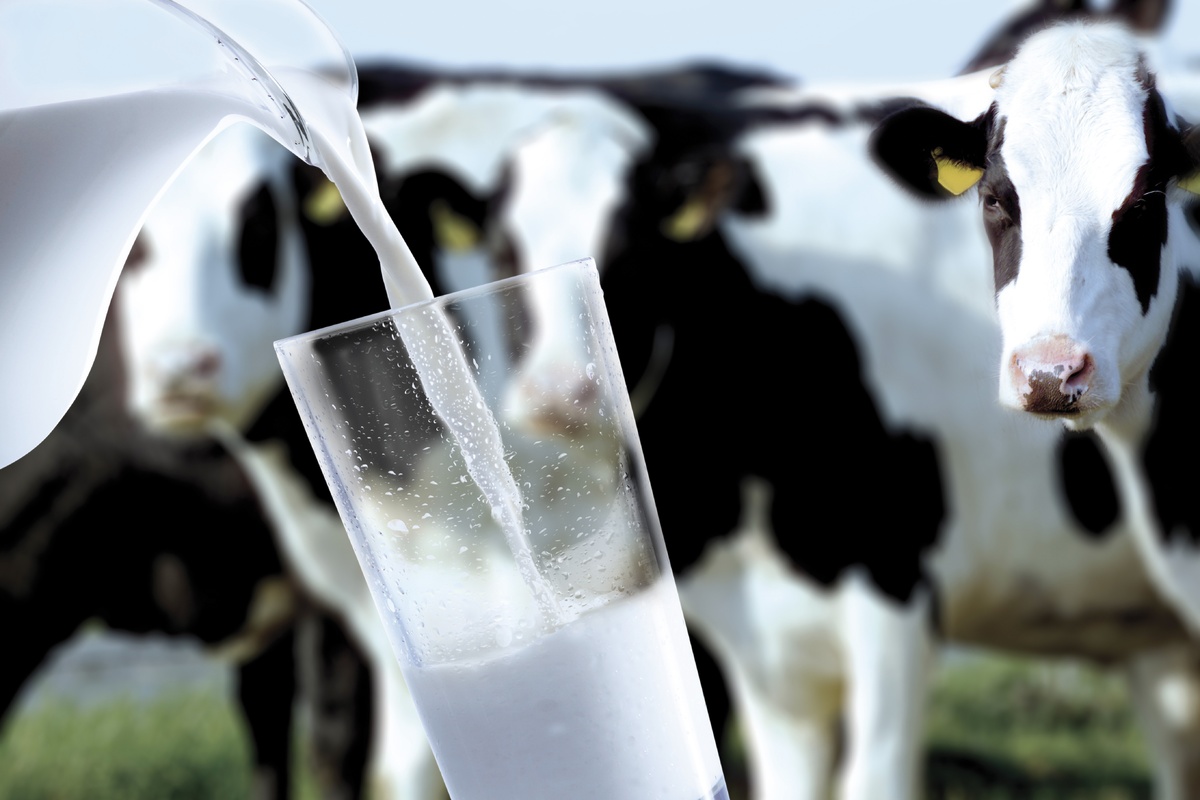 Рекордное количество молока произвели нижегородские аграрии - фото 1