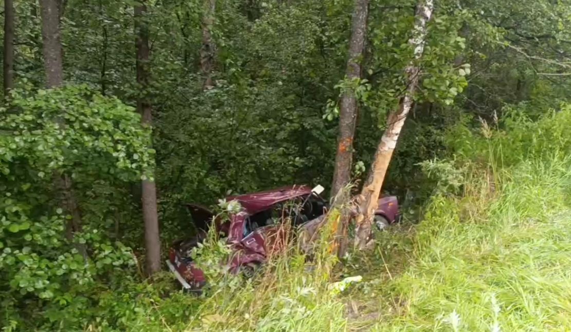 Легковушка улетела в кювет в Нижегородской области - фото 1