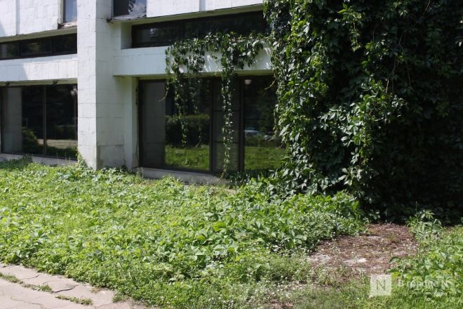 От бараков до сталинского ампира: чем удивляет Калининский микрорайон в Нижнем Новгороде &mdash; фоторепортаж - фото 93
