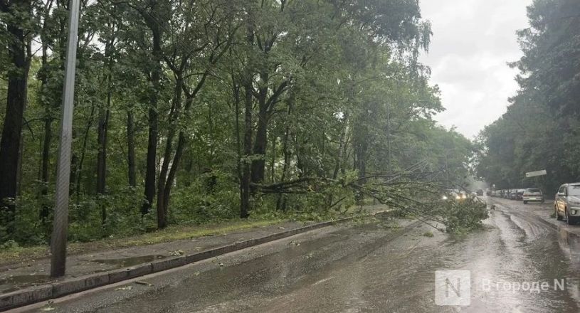 Опубликованы фото последствий урагана в Нижнем Новгороде - фото 1