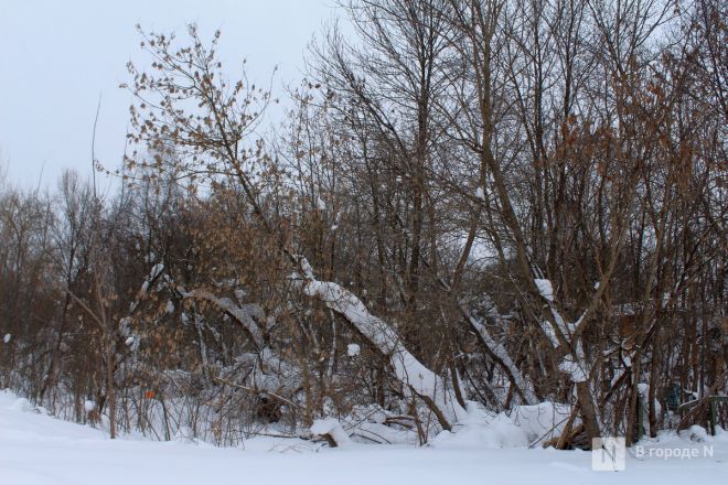 Опубликованы фото домов в Автозаводском районе, которые снесут ради КРТ - фото 25