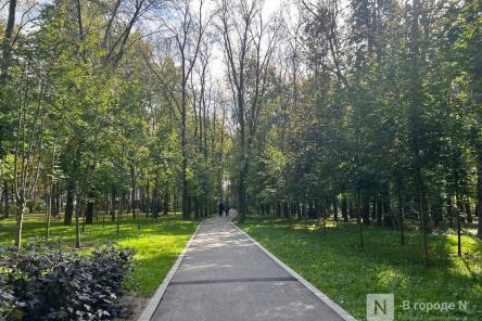 День защиты детей в Нижнем Новгороде: полная программа мероприятий