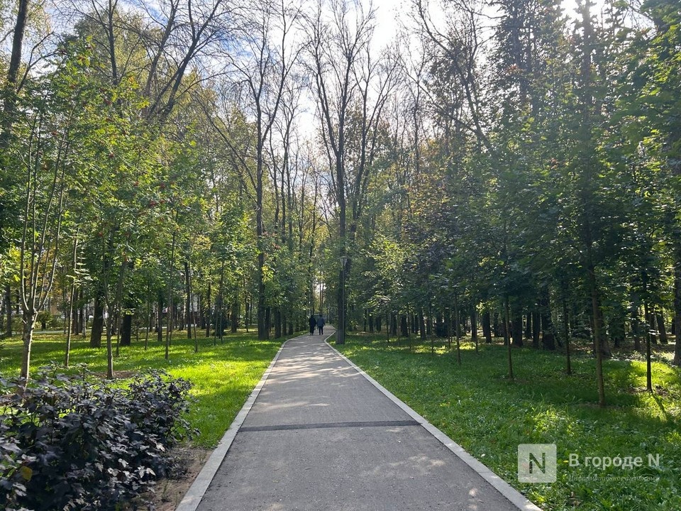 День защиты детей в Нижнем Новгороде: полная программа мероприятий - фото 1
