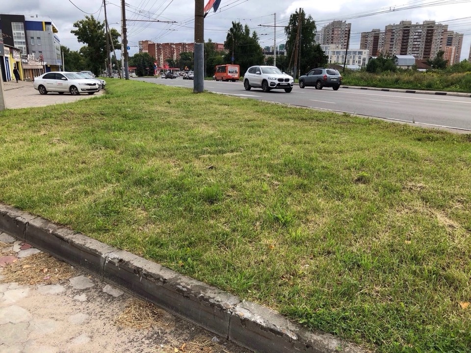 Женщины Нижнего Новгорода просят Гордуму сократить количество покосов травы - фото 1
