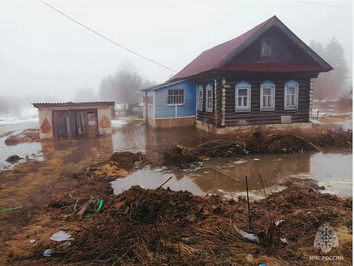 Паводок набирает обороты: что затопило в Нижегородской области 3 апреля - фото 1