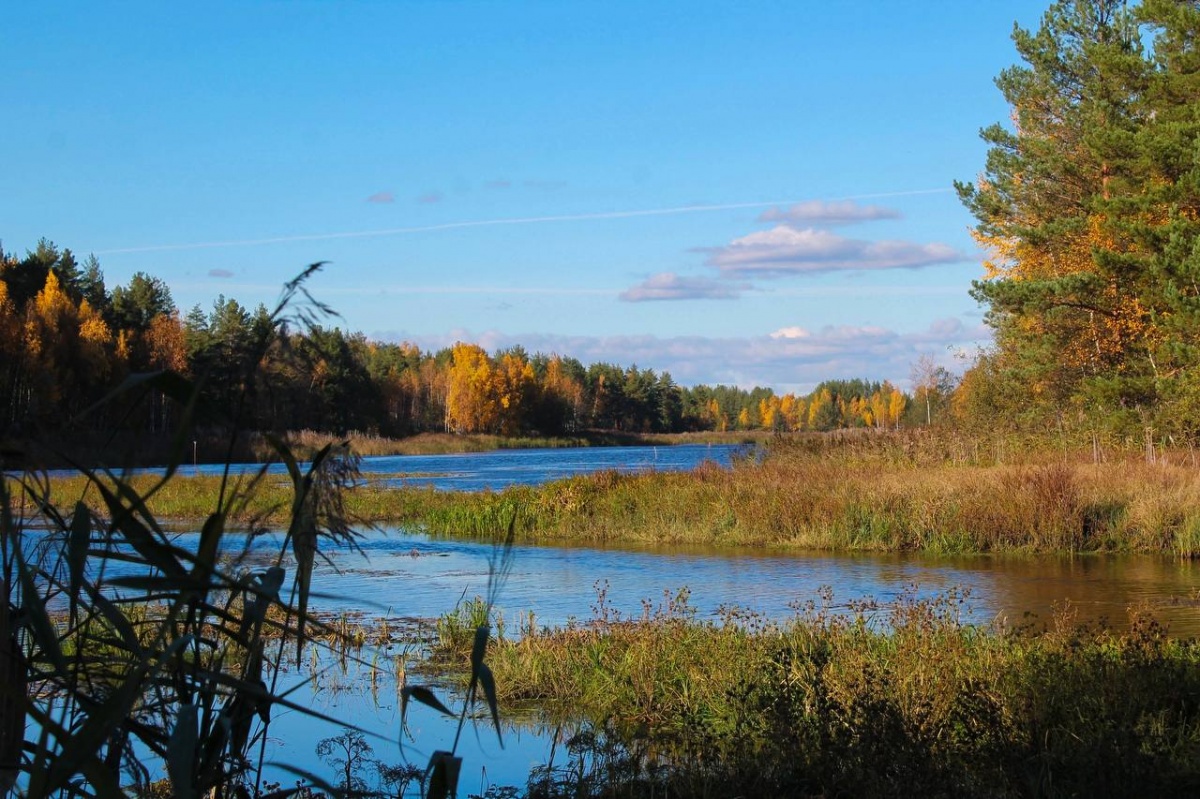 Бабье лето в Нижегородской области начнется в середине сентября - фото 1