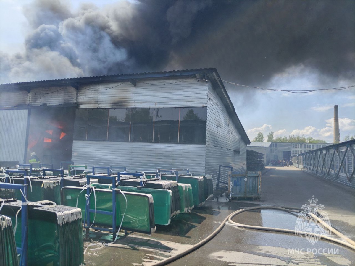 Прокуратура заинтересовалась мощным пожаром на складе под Нижним Новгородом  - фото 1
