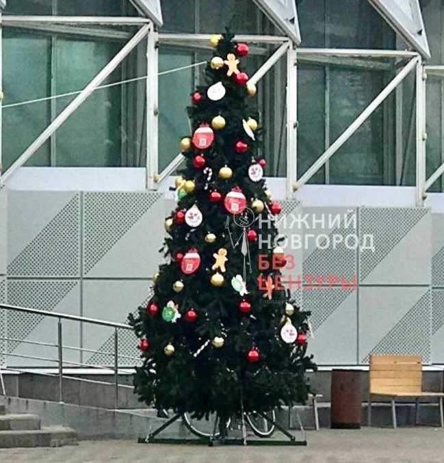 В Нижнем Новгороде установили первую новогоднюю елку - фото 1