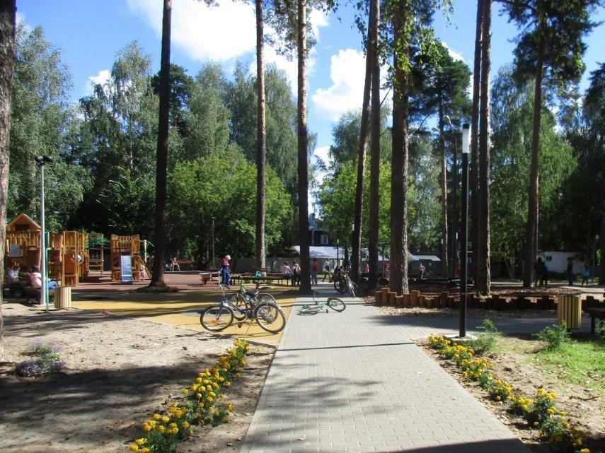 Канатная дорога и батуты появились в городском парке в Кулебаках - фото 1