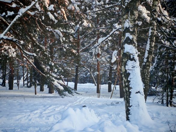 Аномальные морозы в Нижнем Новгороде: фоторепортаж из заснеженных парков - фото 43