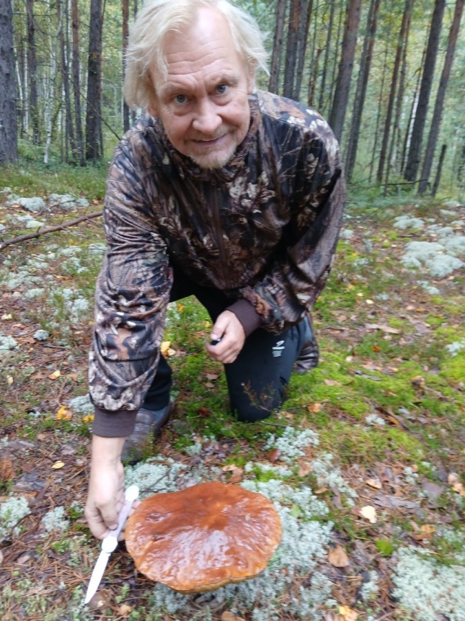 Нижегородцы не узнали экс-мэра Булавинова на фото с грибом - фото 1
