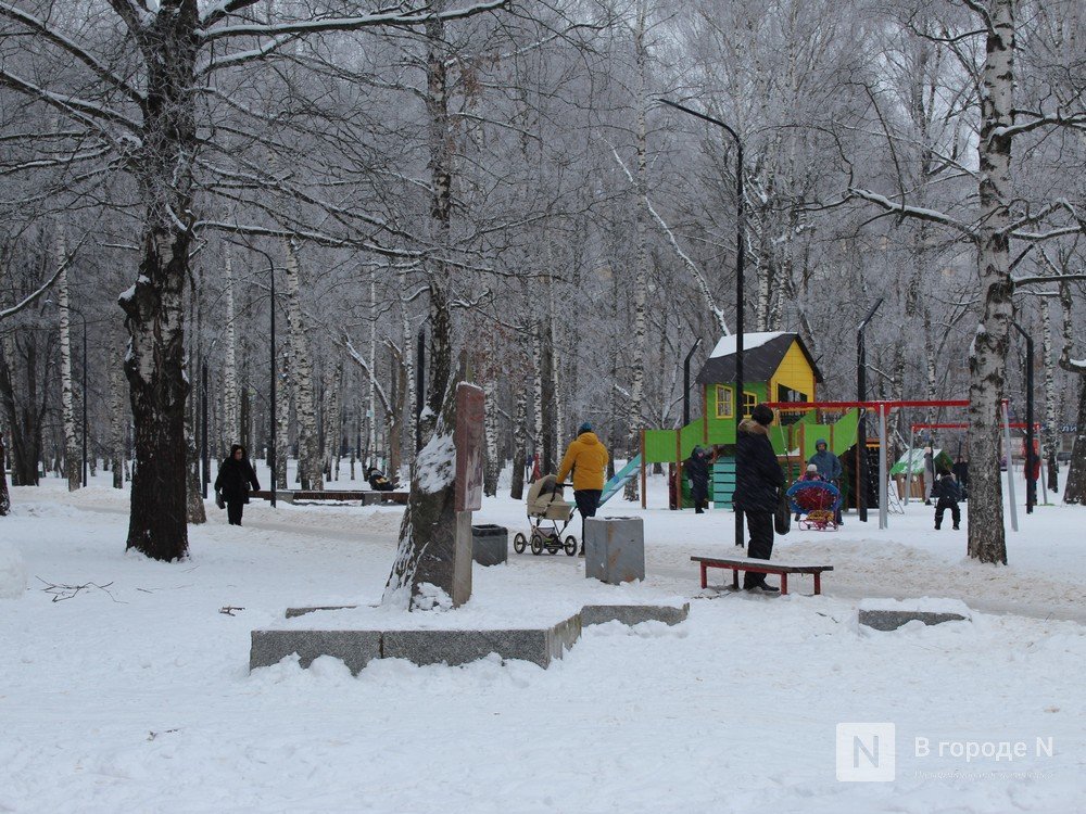 Дендрарий и фонтан: что хотят видеть нижегородцы в парке Пушкина
