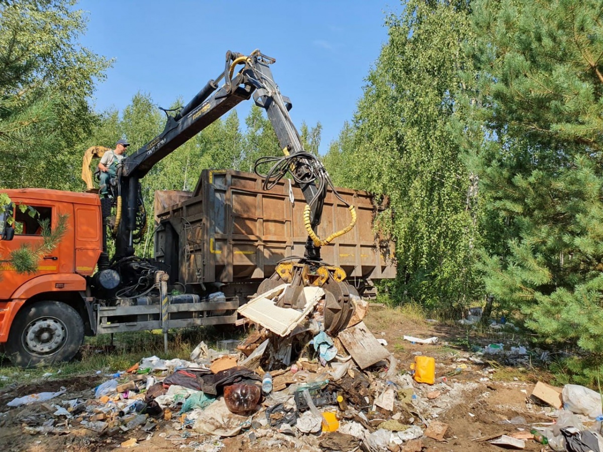 Более 48 тысяч кубометров несанкционированных свалок ликвидируют в Дзержинске - фото 1
