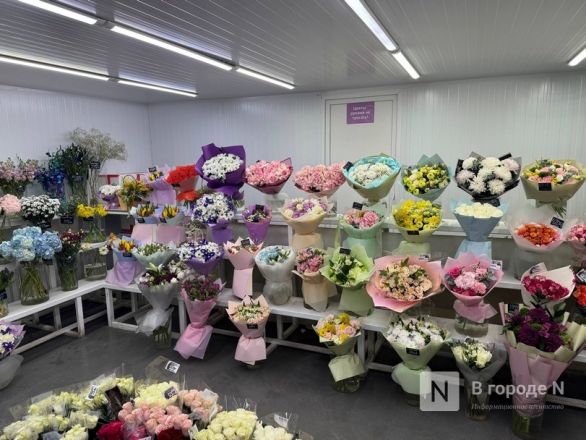 Мужчины, готовьтесь. Рассказываем, сколько стоят цветы к 8 марта в Нижнем Новгороде - фото 67