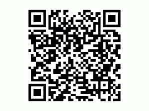QR-коды «Карты жителя Нижегородской области» могут быть опасны