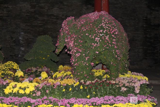 Великая стена и проблемы с интернетом: нижегородка рассказала о незабываемом путешествии в Китай - фото 67