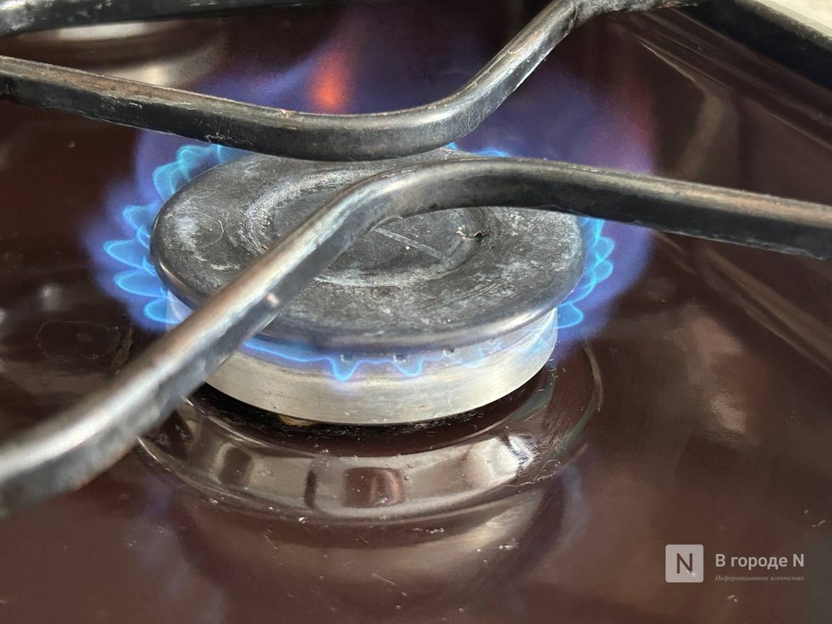 Восемь населенных пунктов остались без газа в Нижегородской области - фото 1