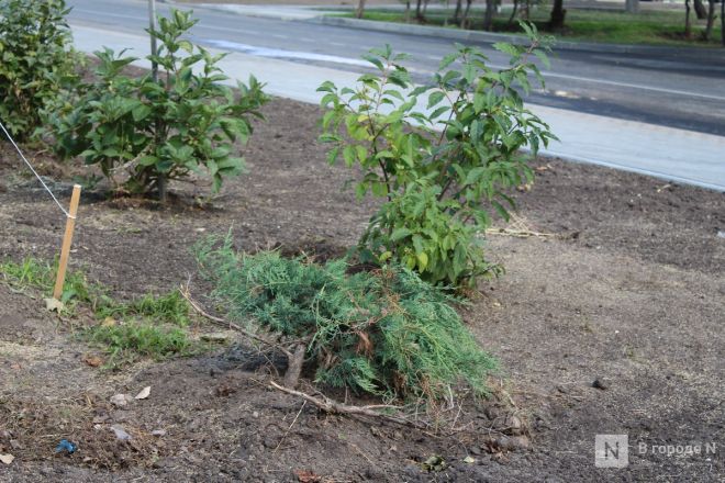 Благоустройство бульвара на проспекте Гагарина завершилось в Нижнем Новгороде - фото 26