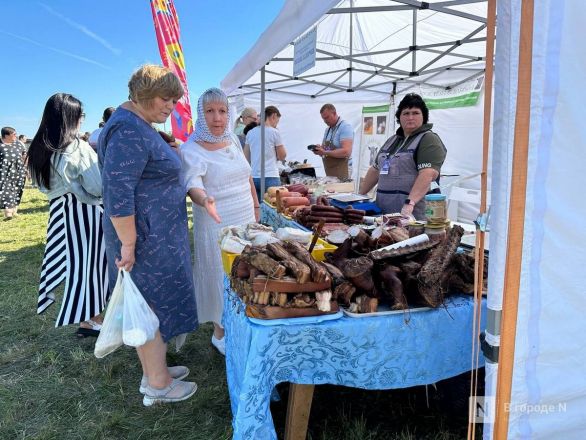 Фестиваль фольклора проходит в Нижегородской области - фото 5