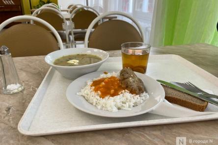 Никонов раскритиковал меню мэра Арзамаса