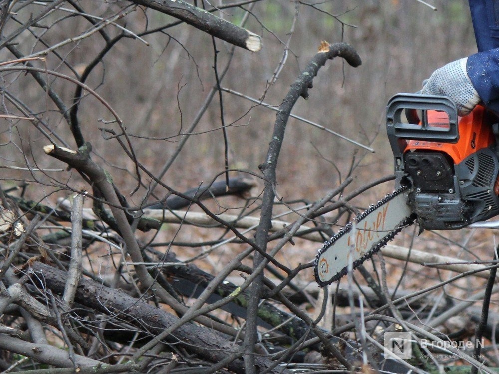 Житель Уреня незаконно нарубил леса на 2,6 млн рублей