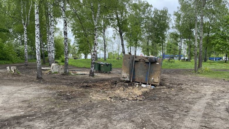 Незаконную свалку строительного мусора обнаружили в поселке Гнилицы - фото 2