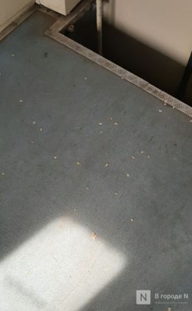 Тупик близко? Есть ли будущее у нижегородских электричек &mdash; расследование &laquo;В городе N&raquo; - фото 52