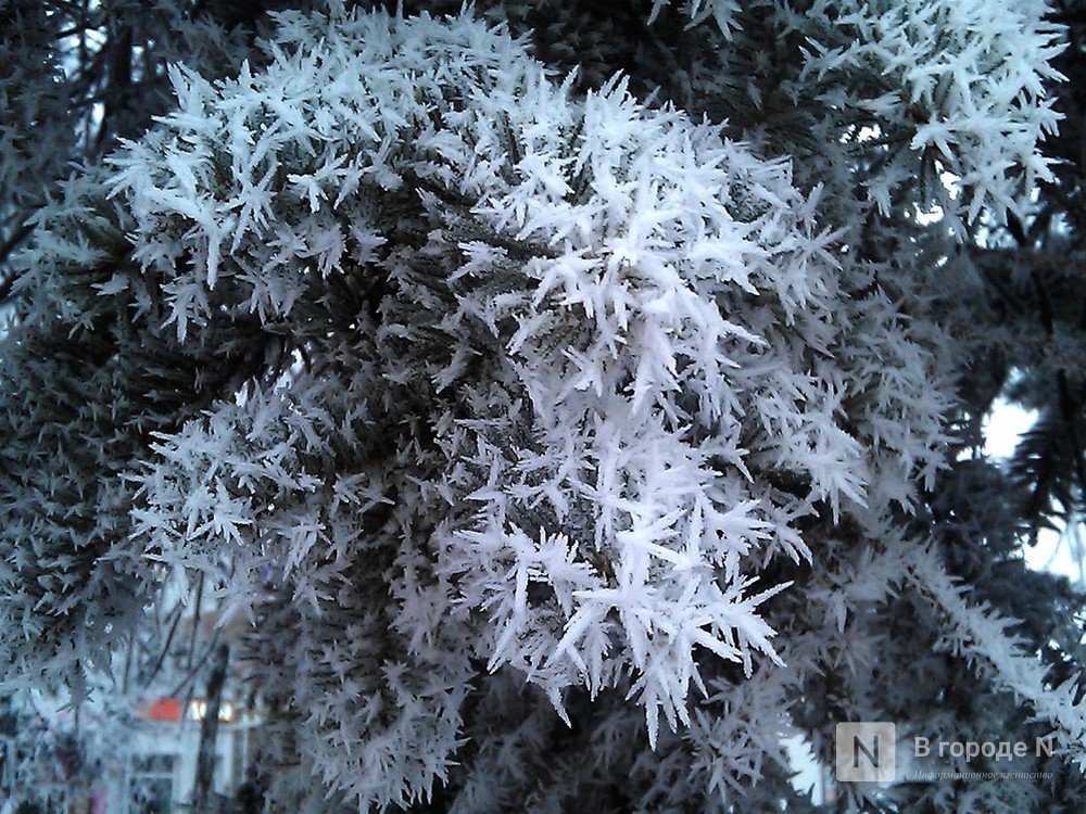 Морозы до &minus;10℃ придут в Нижний Новгород в выходные - фото 1